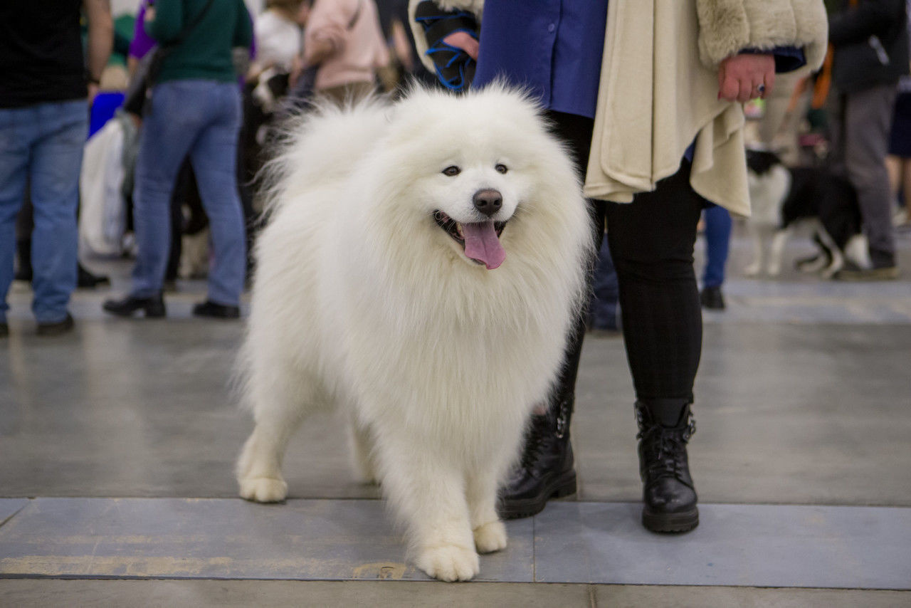 �������: �������� ���� ����� �������� ����� � 2025 ���� ������ � �����