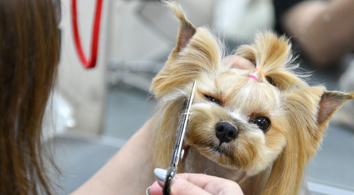 ���������: ������� � ������ ��������� �� 30% �� ���