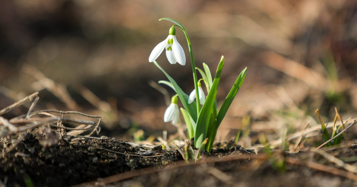 Пятница в Москве стала самым теплым днем с начала года