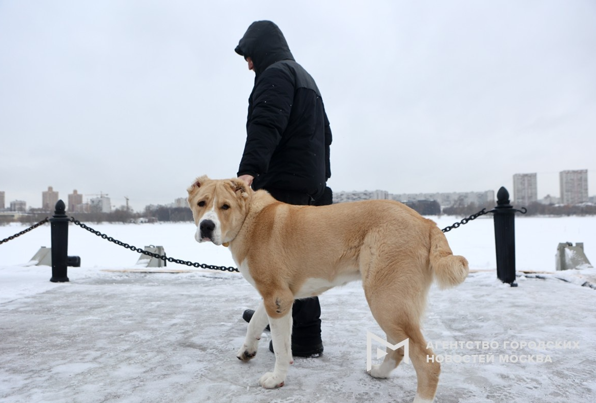 ������ ������� ���������� �� �������� ����� � ������� � ������� �������� ������