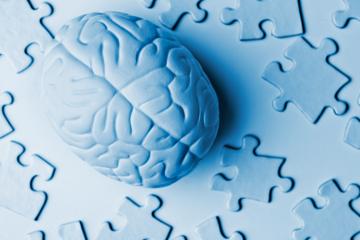 ������: � �������������������� ������� ������ �������� ���������� � ������������ ������������� ����������