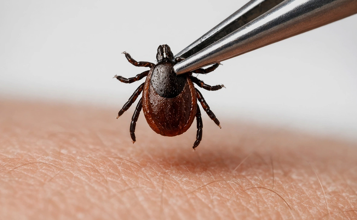 ������� ����������������: �����-��������� �� ������ ������ � ������