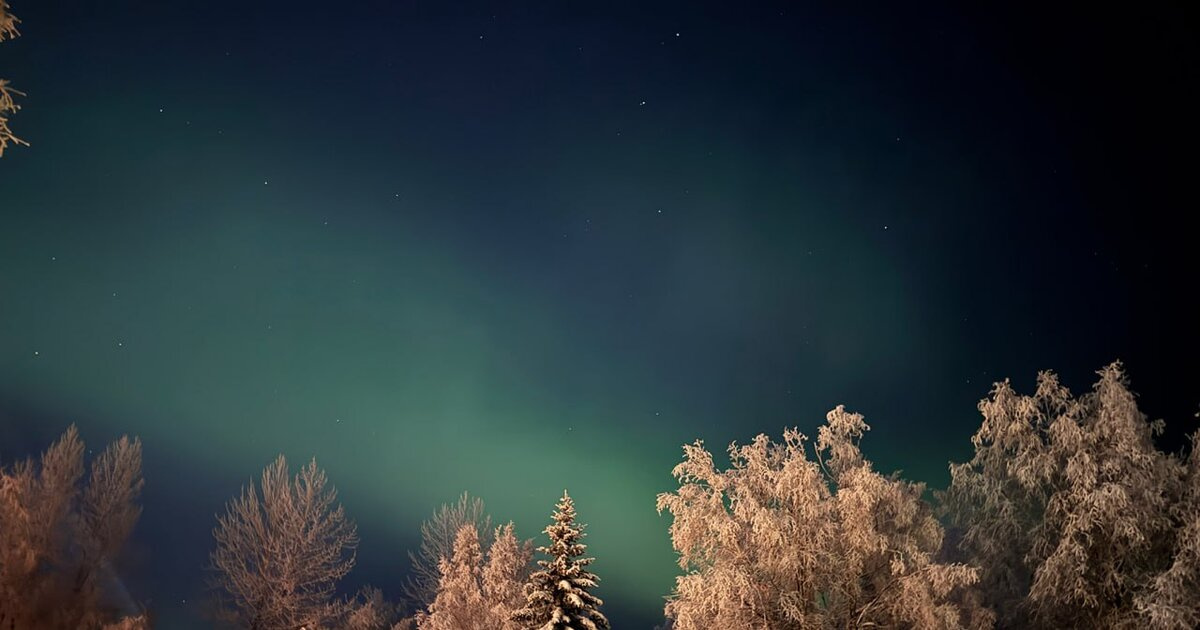 ��������: ������� ��� ���������� ��������� ������ � ������ ���