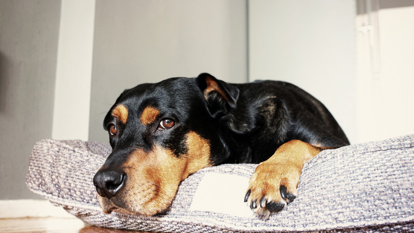 ������� ���������, ��� ������������ ����� ������ ����� ����������