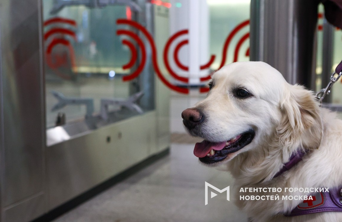 �������� � ���������� ����� � ������ ������ 40 �����-�����������