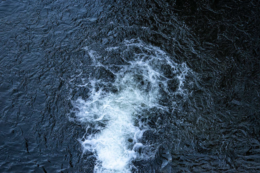 Под льдами Антарктики найден гигантский «город» из загадочных круглых гнезд