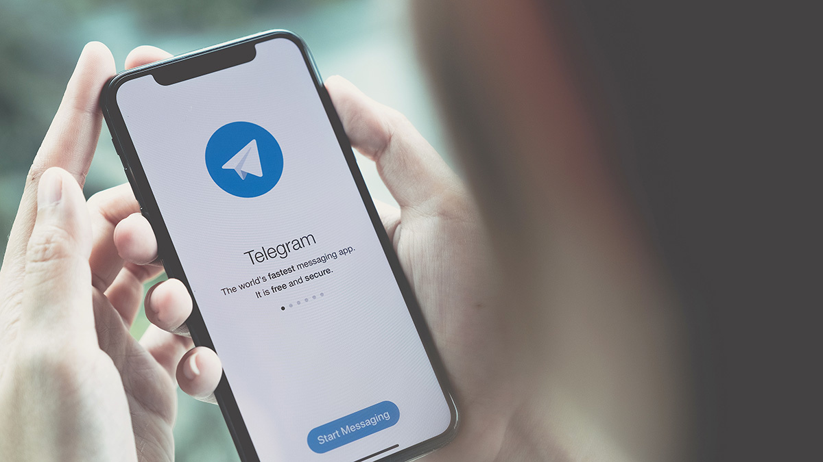   :  ,     Telegram 