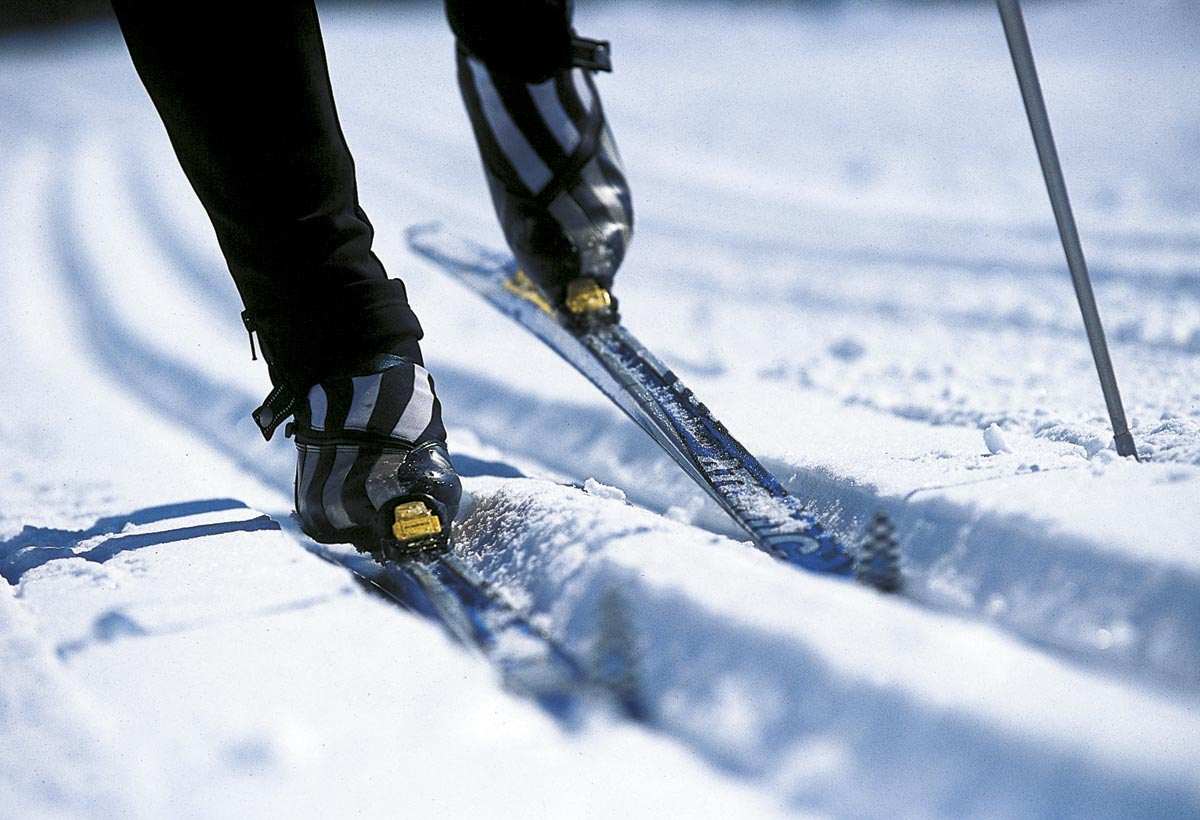 ���������� ���������� ����������� �������� �������� � ������� �� ���������� ������