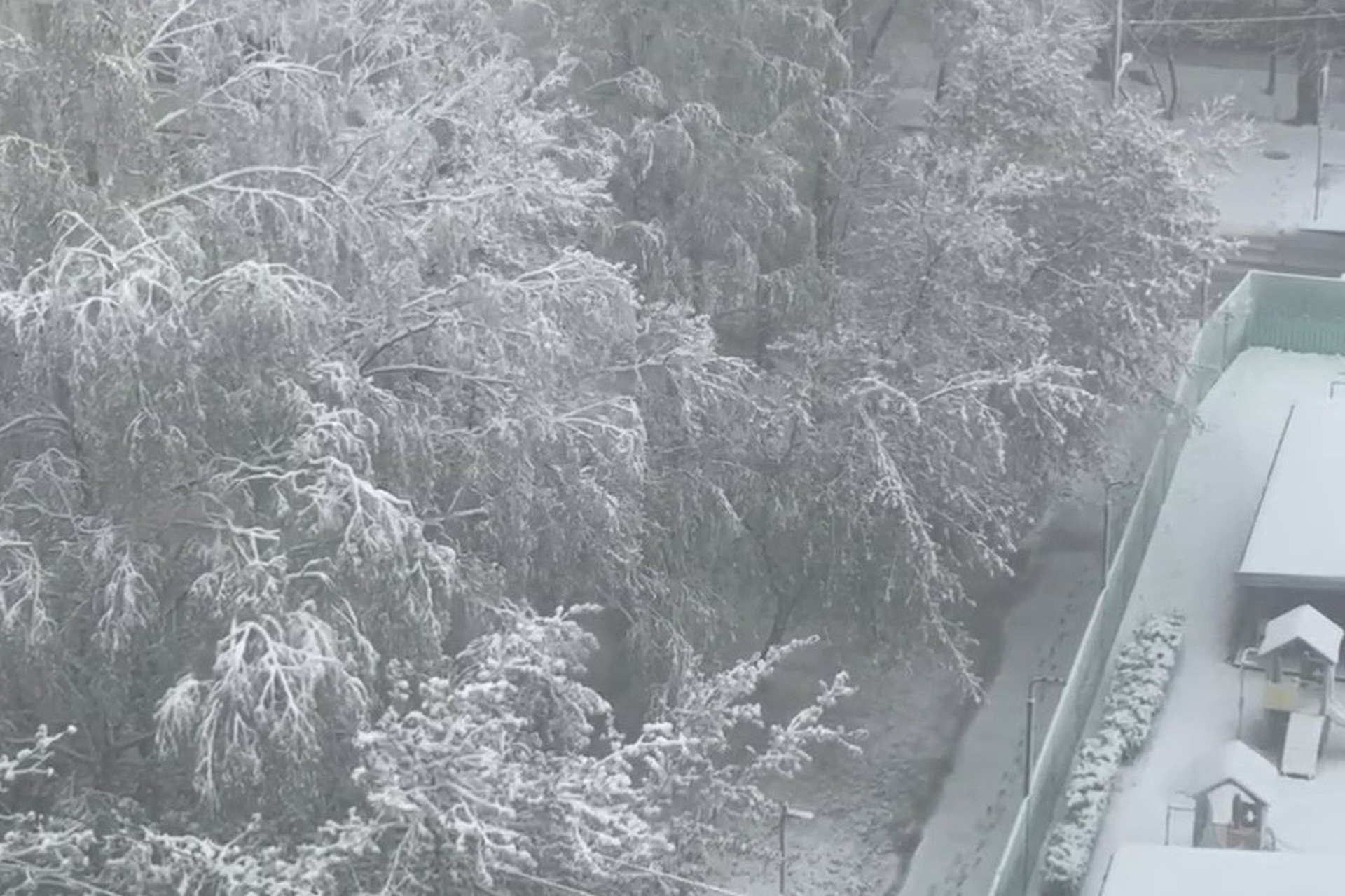 ���������� ��������� � ������� ����������� � ����������