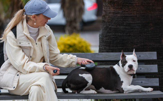 В Петербурге утвердили закон о содержании собак