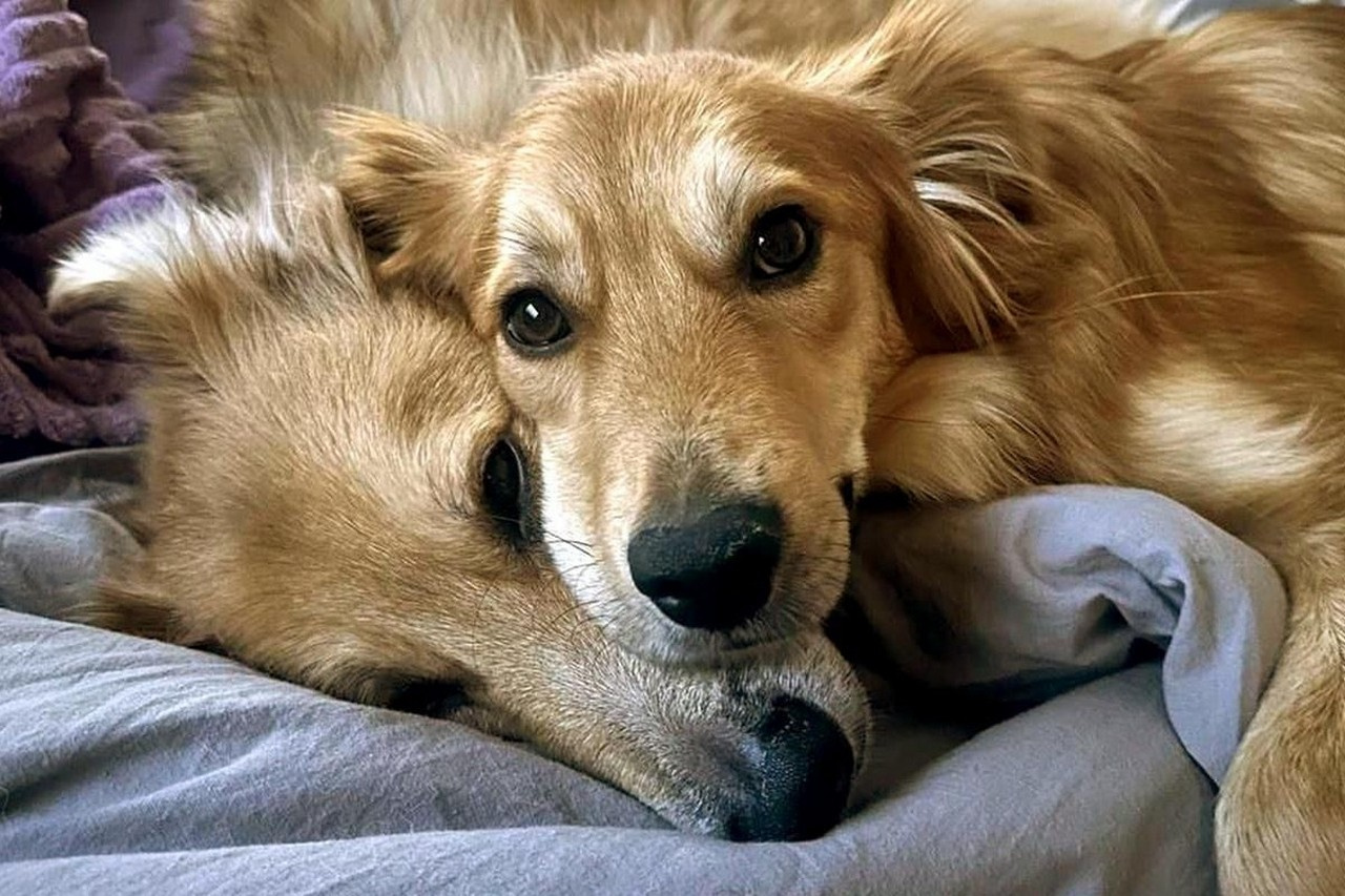 ����� 100 �������� �� ��������� ������� ������ ����� ��� �� ���������