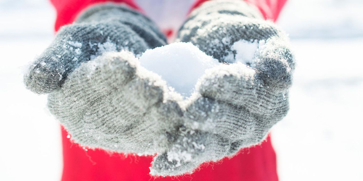 ��������: ����������� � ������ ����� ����� �������� ���� � ������ ����