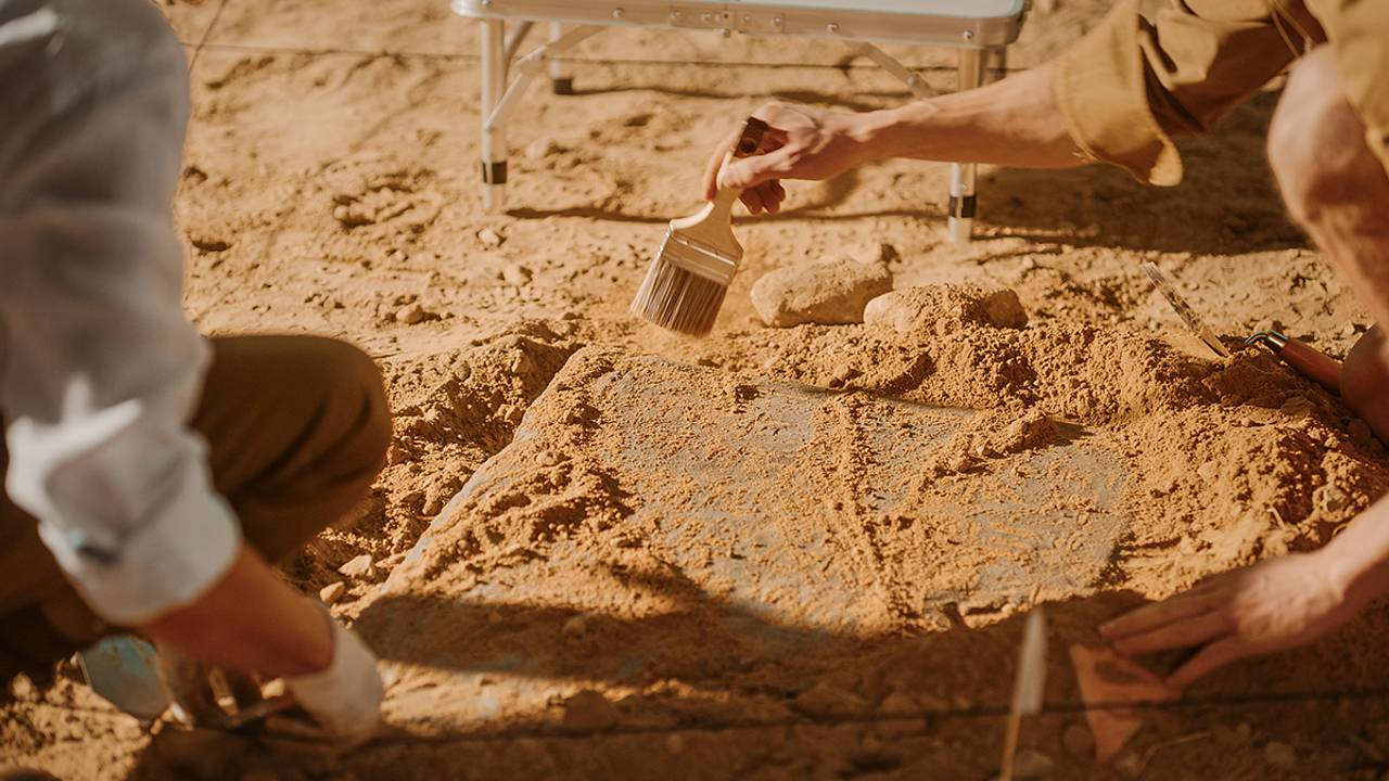 Археологи нашли в гробнице древнего воина нетронутый меч возрастом 2,5 тысячи лет