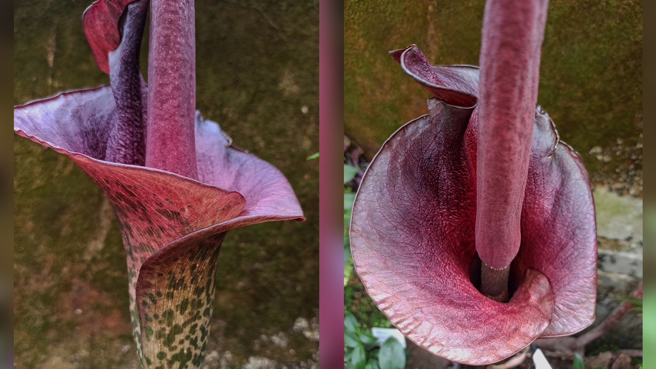 ����� ������� � ������� ������� ���� ������� � ������������ �������