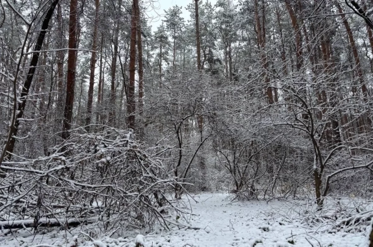 ������ ������������ � ������������ ����� ���� ��� ������� �����