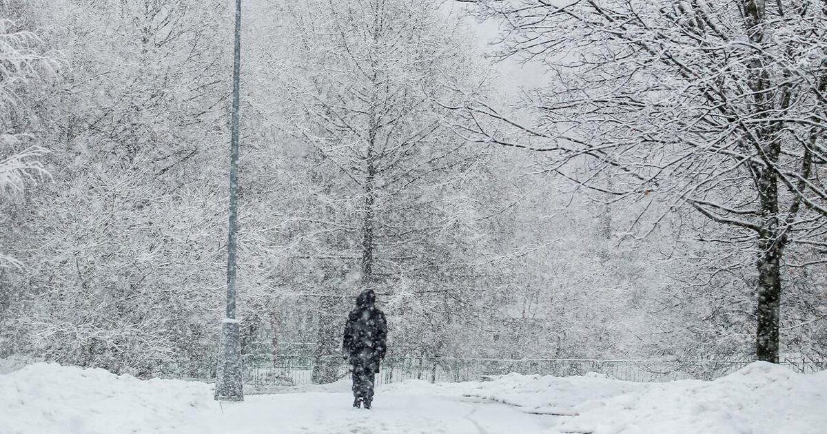 ��� ������� �������� �������� ����� ������� � ������ � ��������