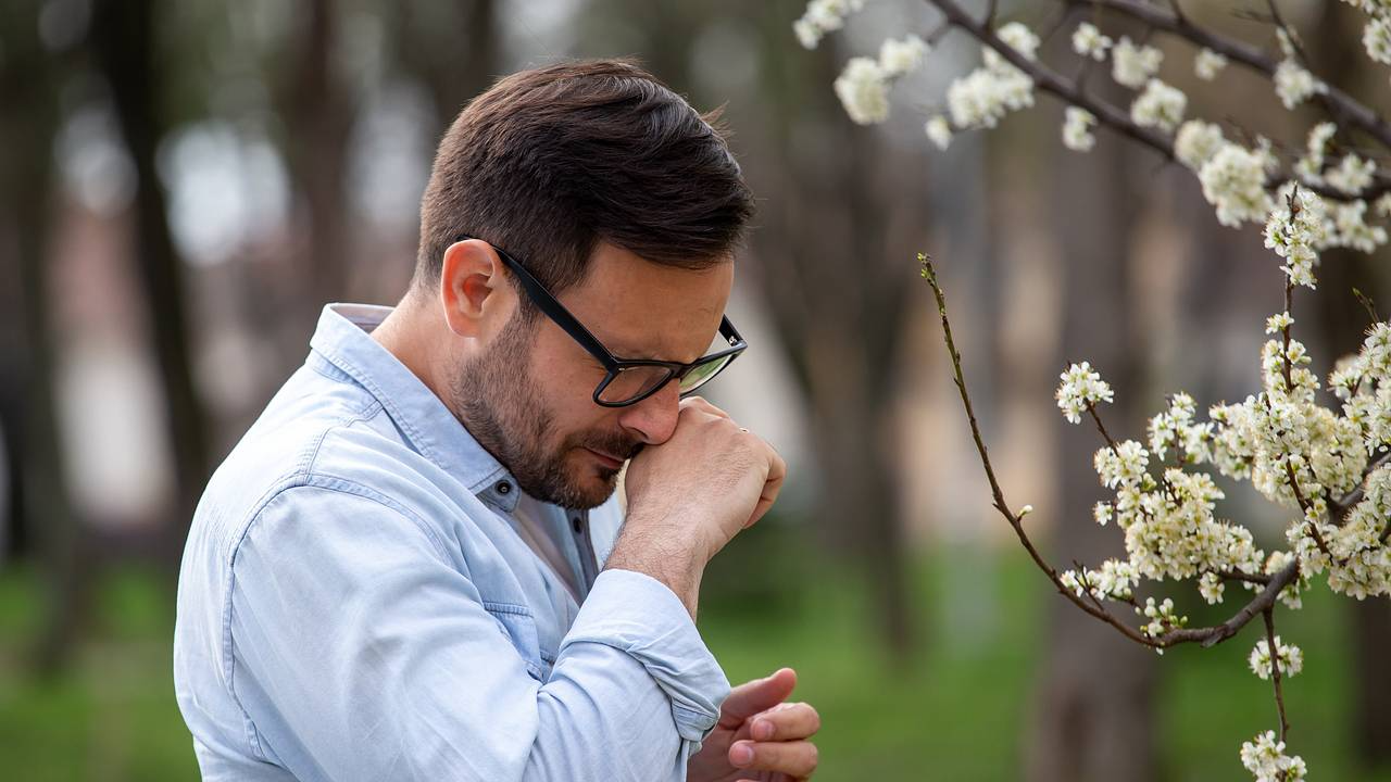 ���� �������� �������� ���������� ������� � ������ ����������