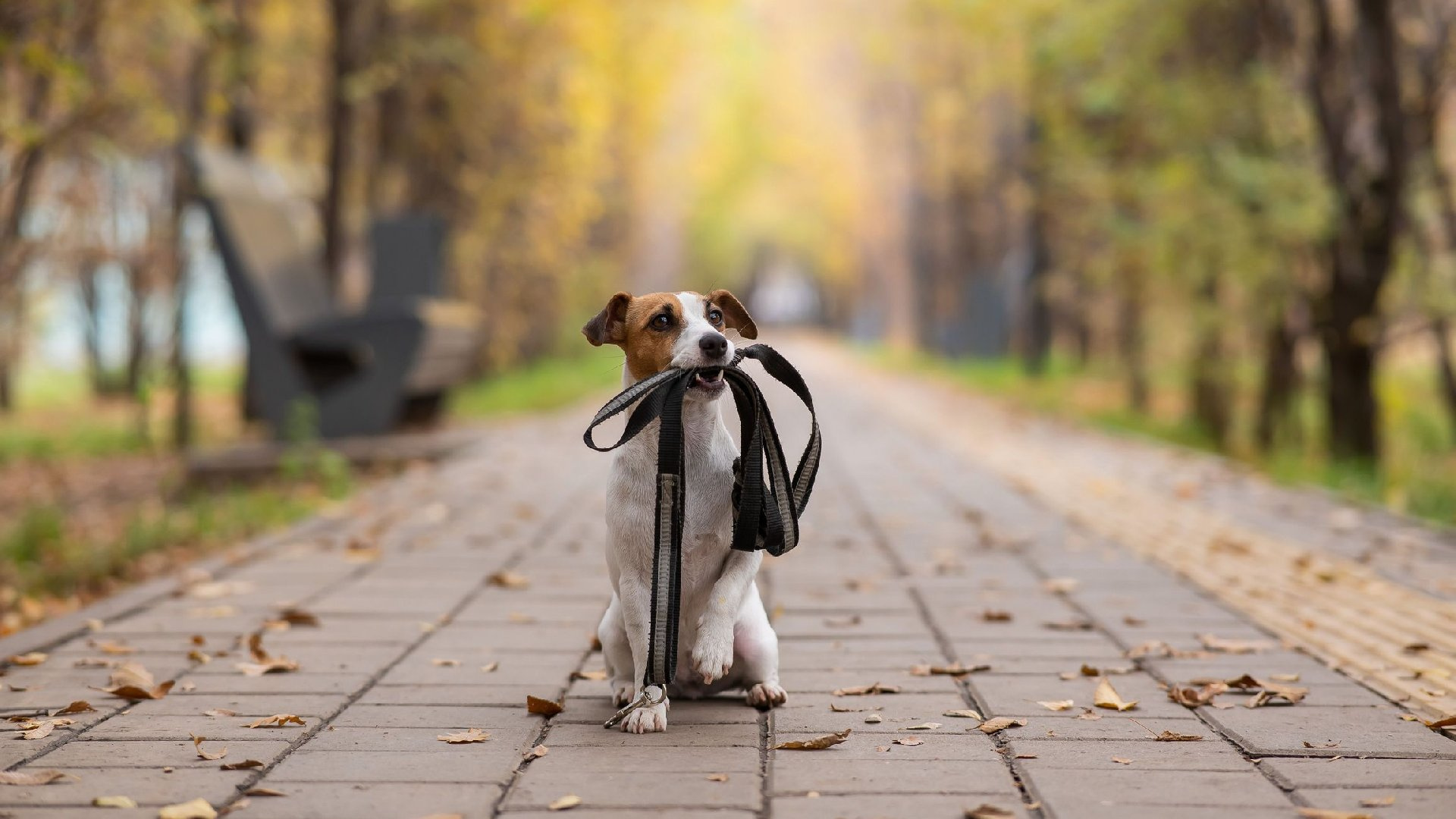 ��������� �������� ���������� ����� �� ������� ��-�� ����������� ����� ��������