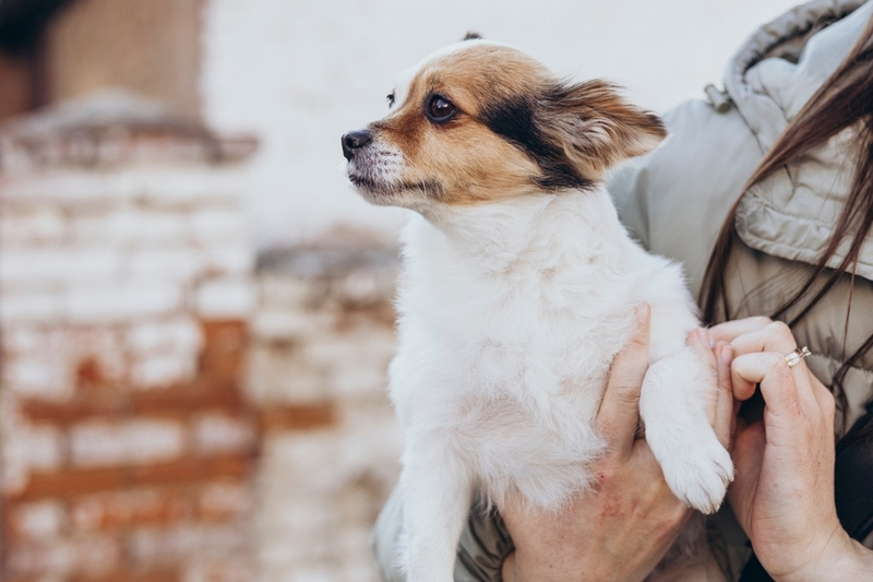 �������: ������ � ����� ����� ������������� �����, ����� ������ ���� �� �� ����